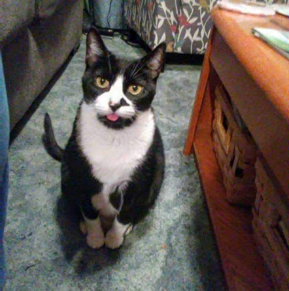 Meet your Posher, Marcia